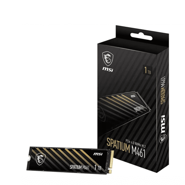 1TB MSI M461 SSD