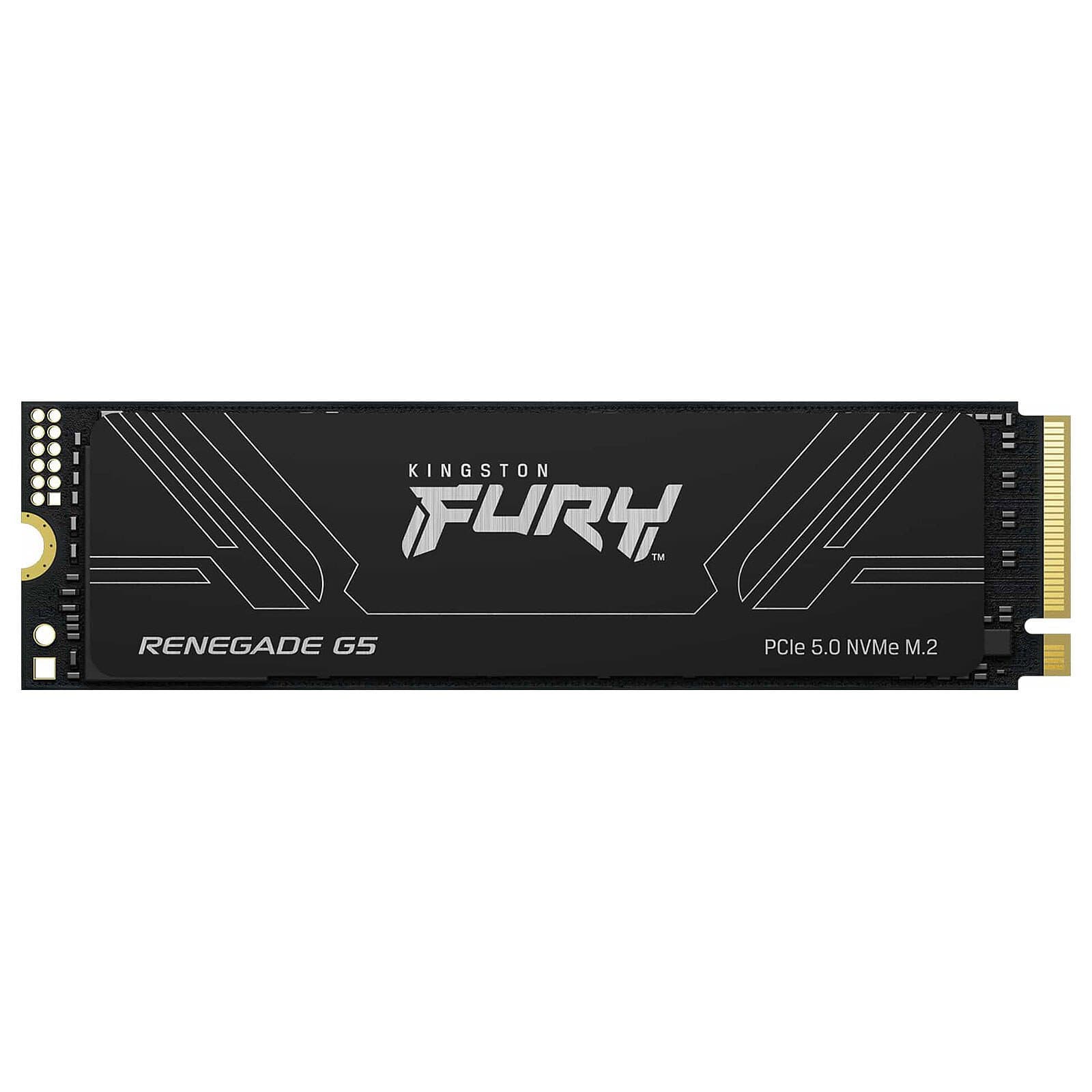 KINGSTON FURY RENEGADE G5 2TB